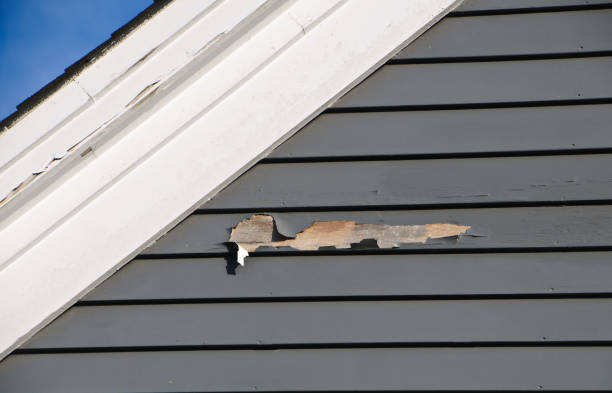 Best Storm Damage Siding Repair  in Lenwood, CA